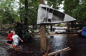 Canoe wrapped around tree